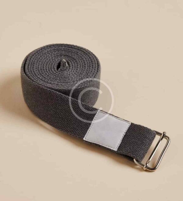 Sports belt